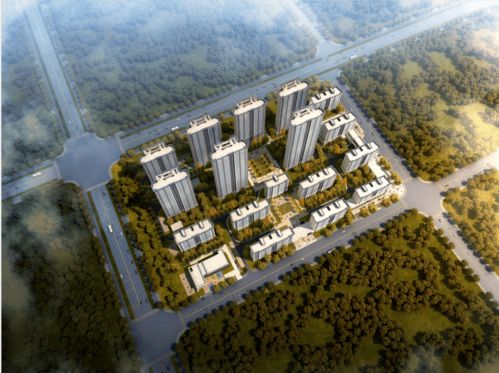 國安建設(shè)集團榮獲中梁地產(chǎn)集團合作總包單位優(yōu)秀供應(yīng)商稱號