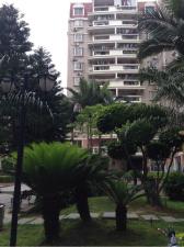 福州住宅20㎡以下租房出租信息 城市房產