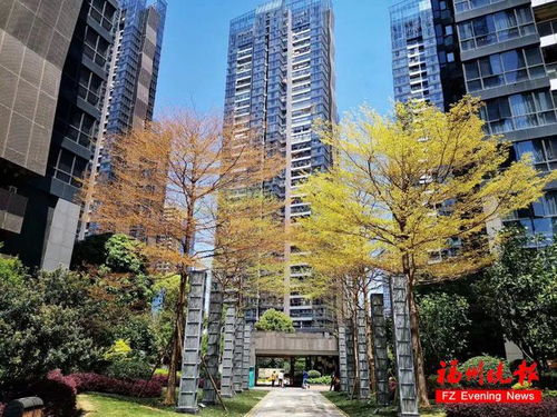 有你小區(qū)嗎 福州31家物業(yè)企業(yè)獲評 五星級物業(yè)